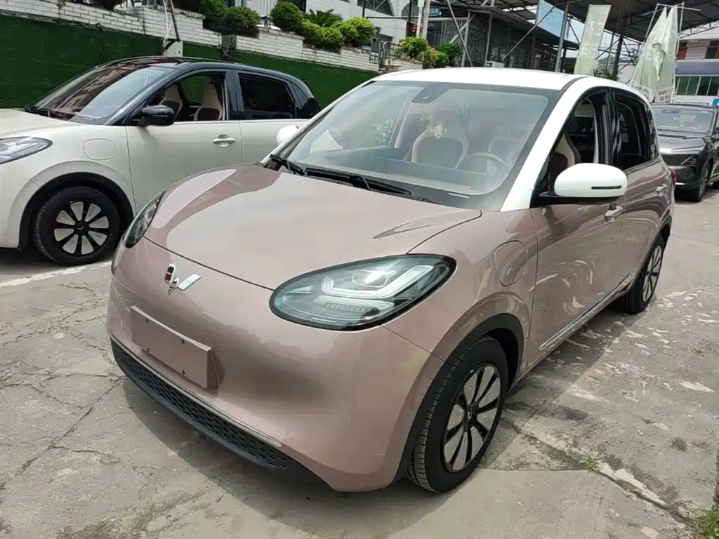 Wuling Binguo 2023 333km Spirit Sharp Connected