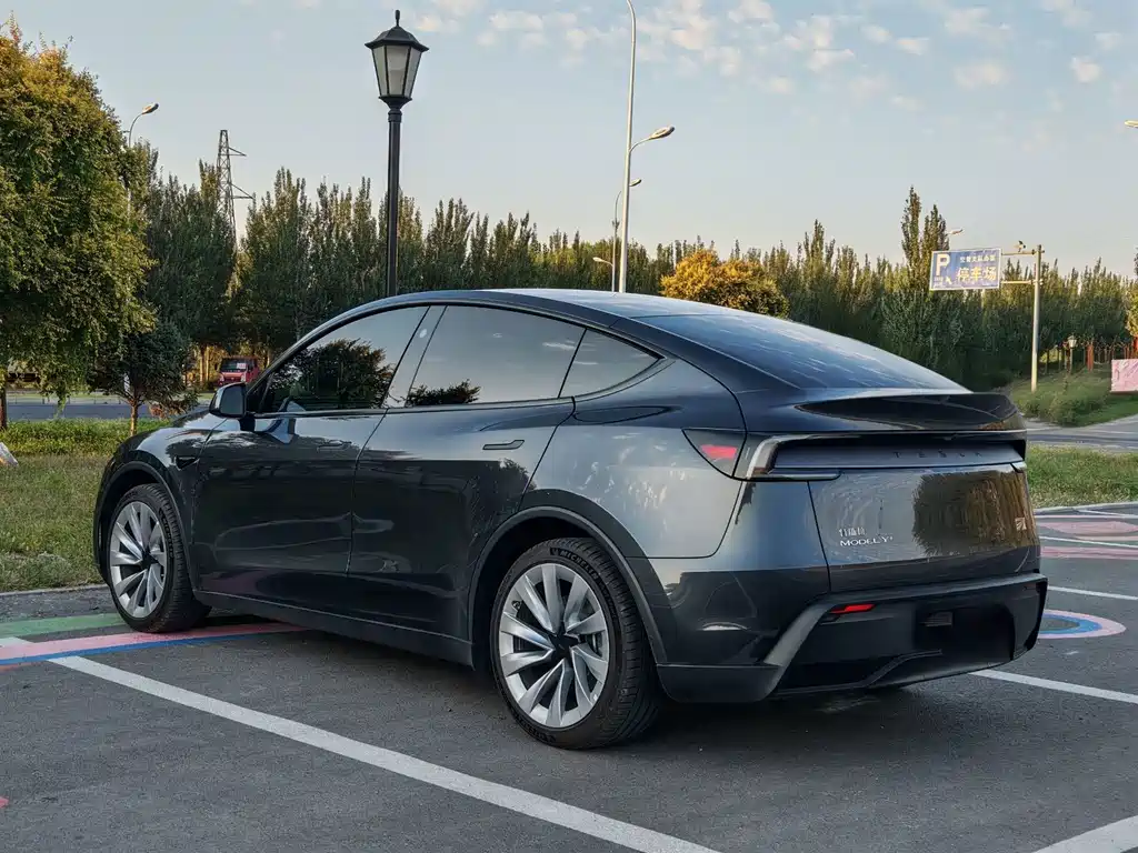 Tesla Model Y — миниатюра 4
