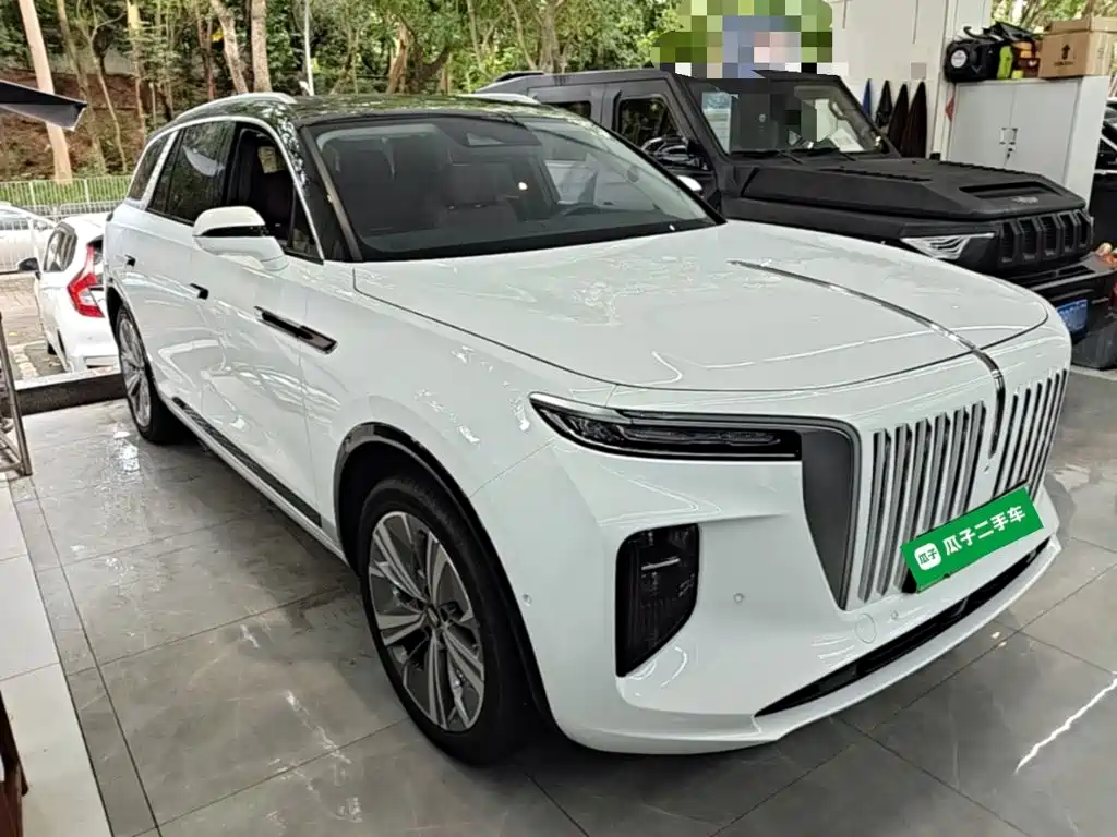 Hongqi Hongqi E-HS9 — миниатюра 4