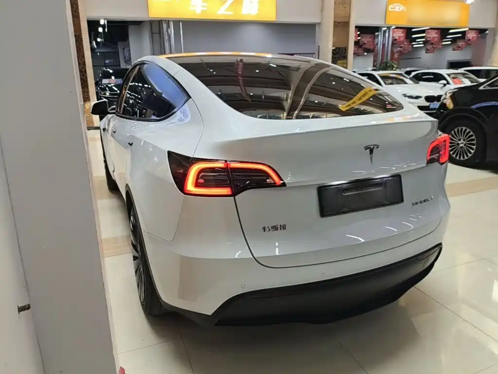 Tesla Model Y — миниатюра 5