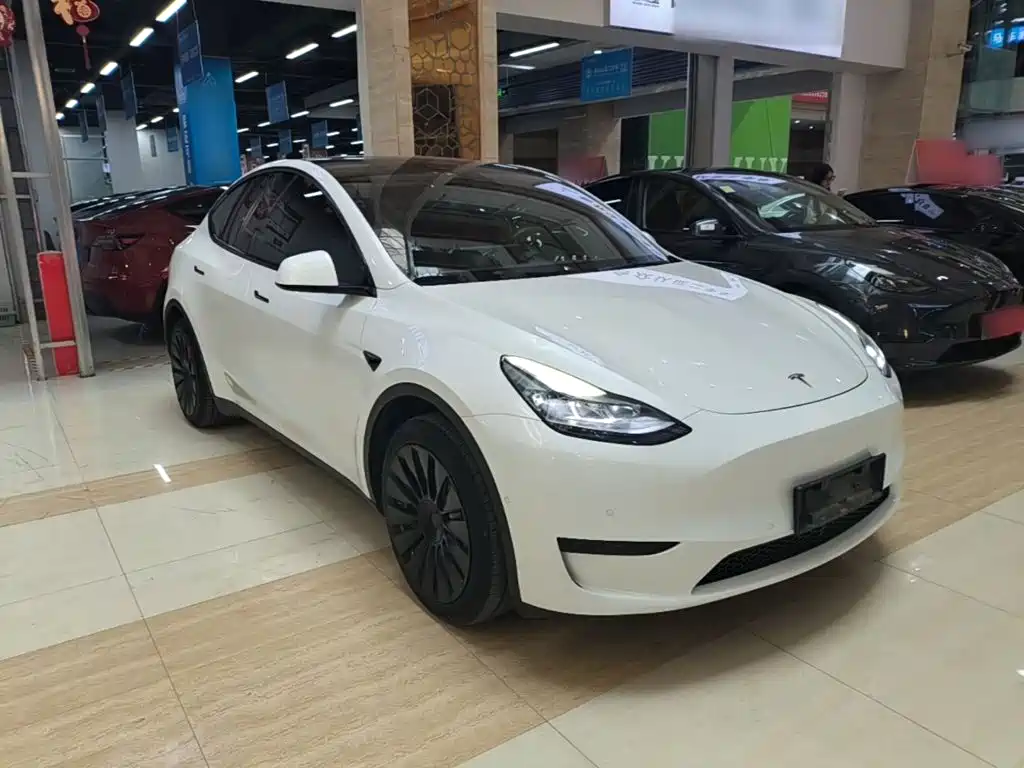 Tesla Model Y — миниатюра 4