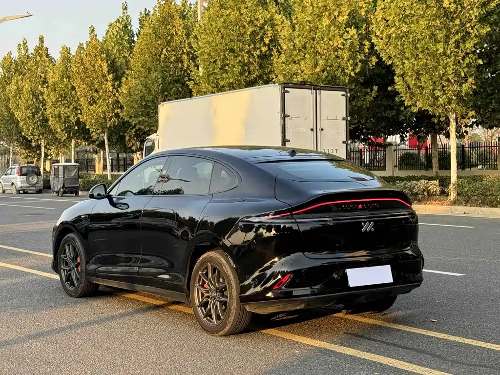 IM IM LS6 — миниатюра 9