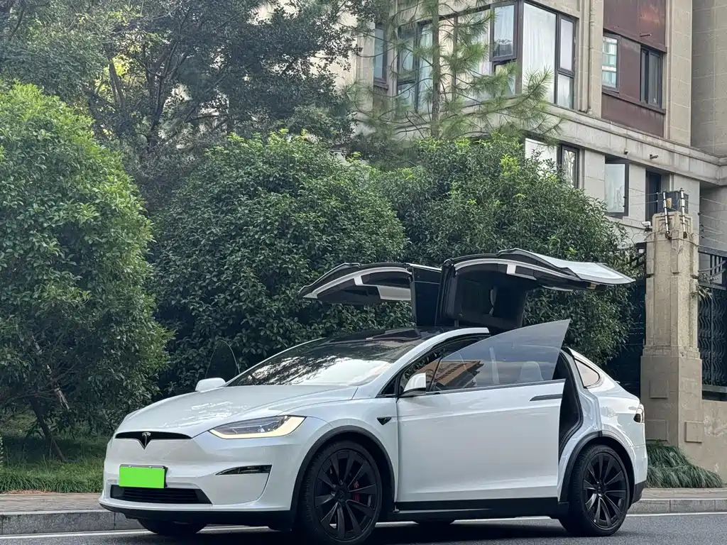 Tesla Model X — миниатюра 2