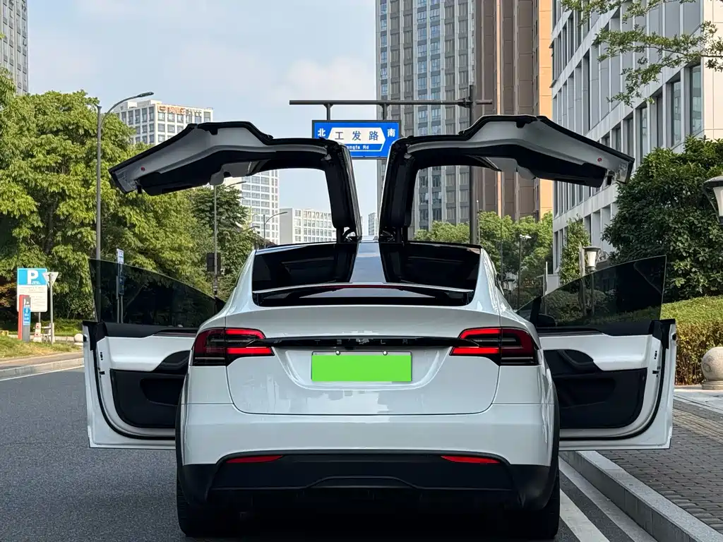 Tesla Model X — миниатюра 17