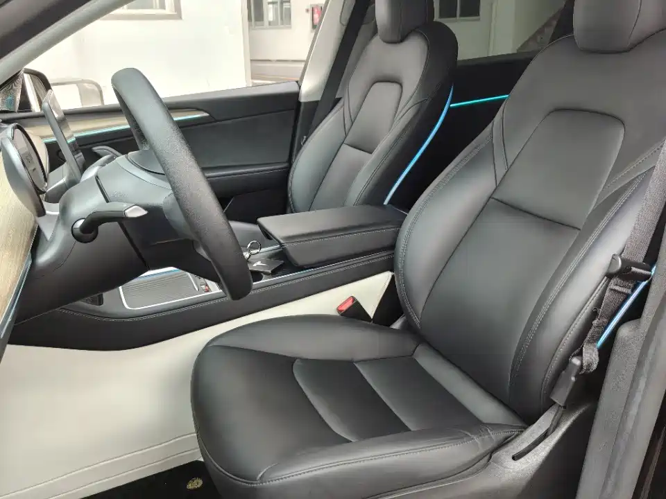 Tesla Model Y — миниатюра 4