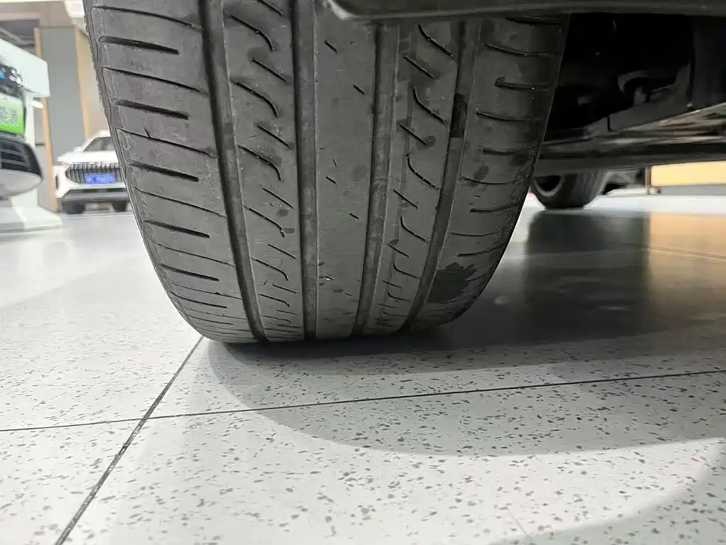 BYD SONGJIANG NEW ENERGY