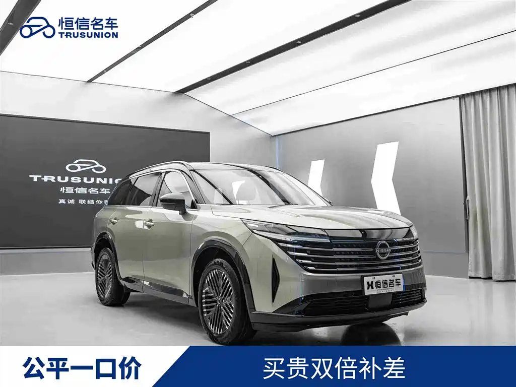 Купить Nissan Teramont
