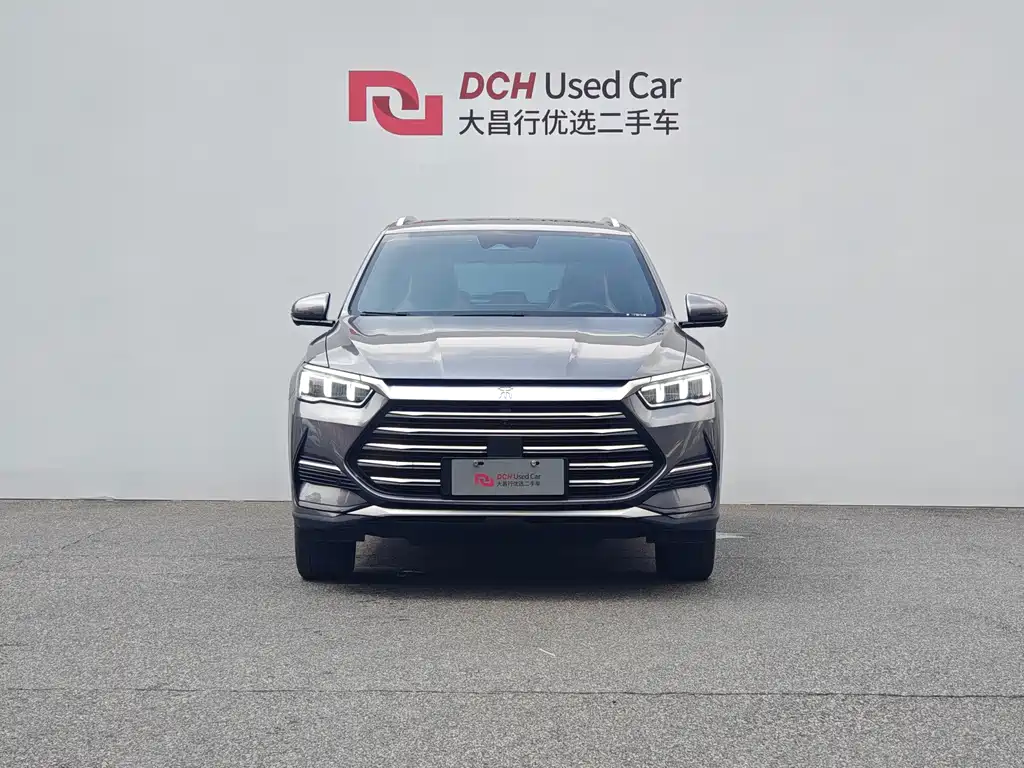 BYD Pro New Energy — миниатюра 2