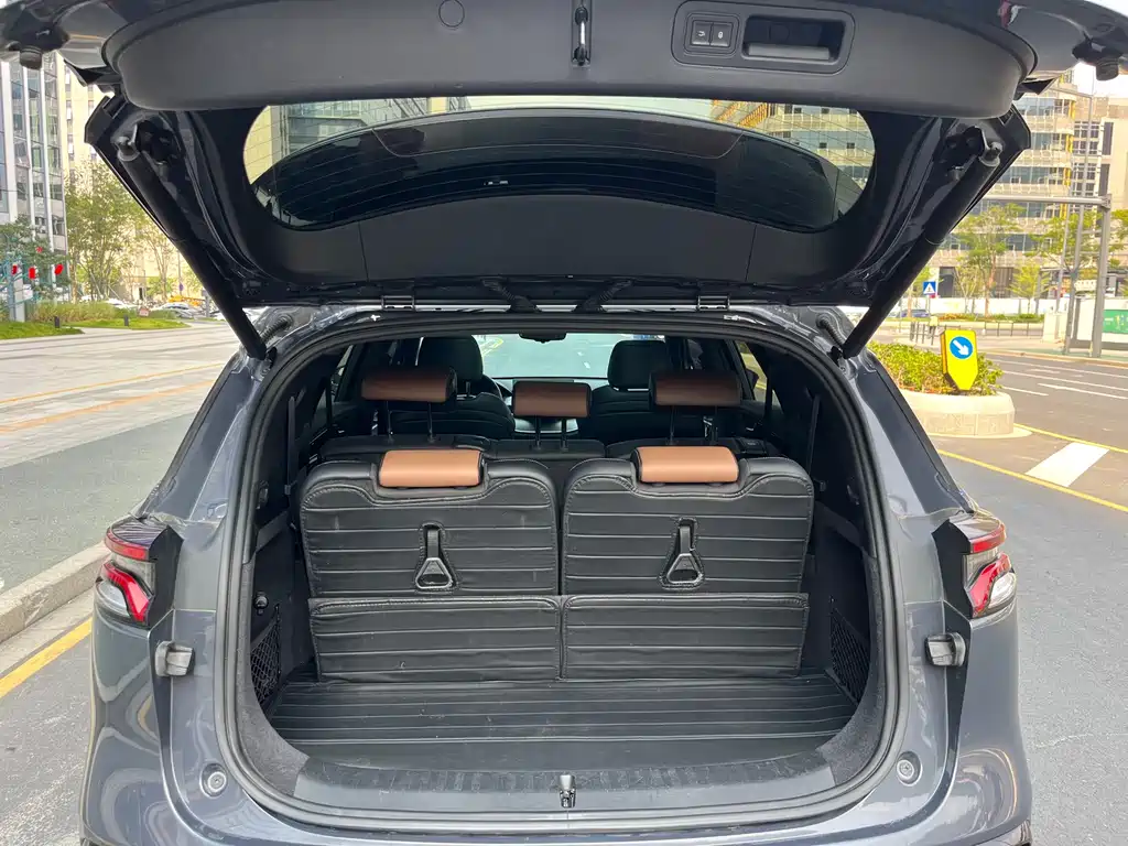 BYD Tang New Energy — миниатюра 21