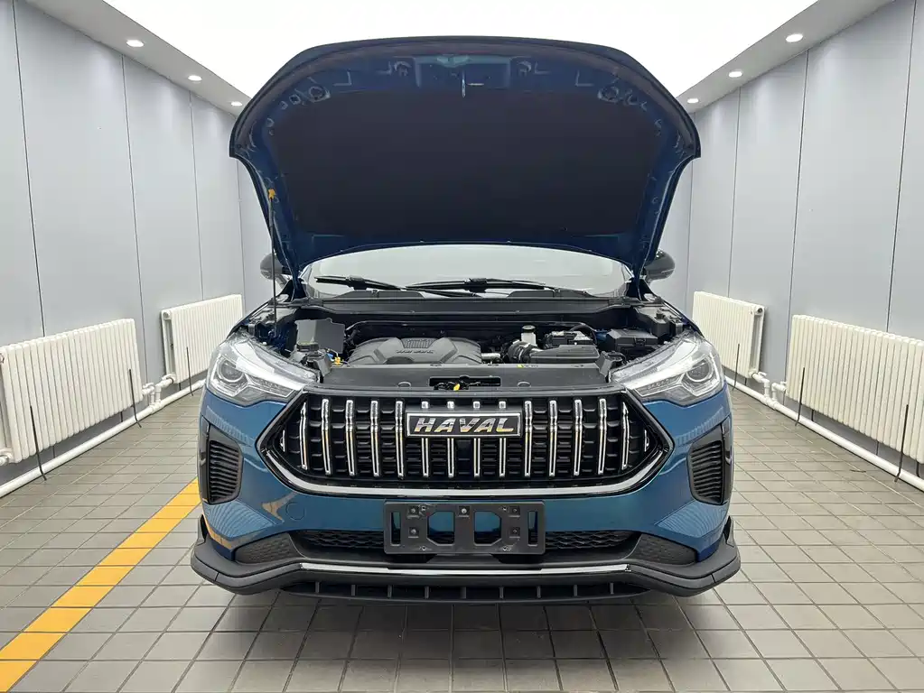 Haval Chitu — миниатюра 16