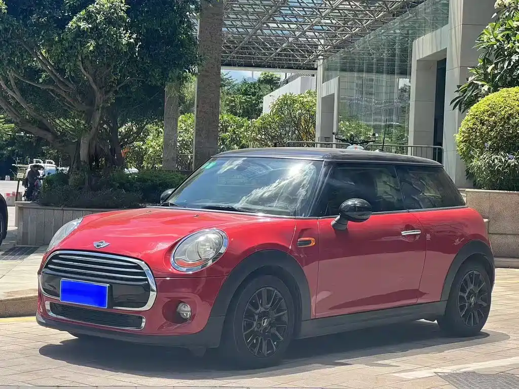 Mini Mini 2017