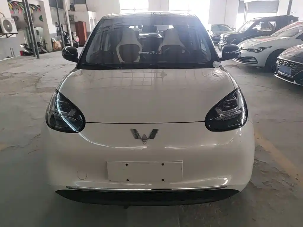 Wuling Binguo 2023 333km Enjoy +