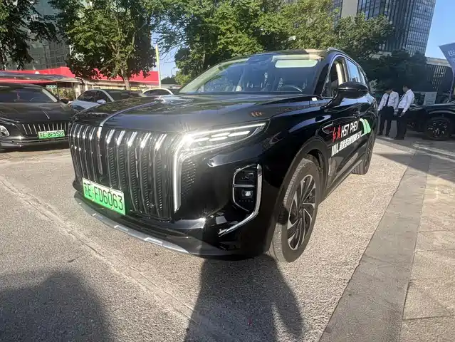 2024 Hongqi HS7