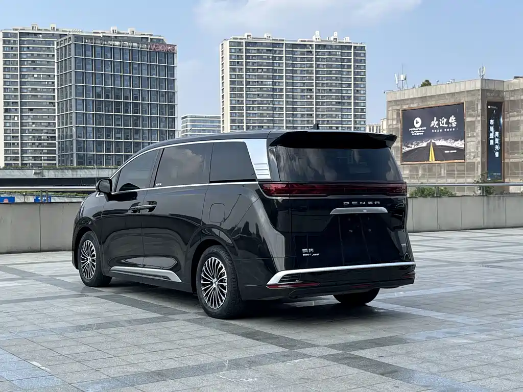 Denza Denza D9 — миниатюра 15