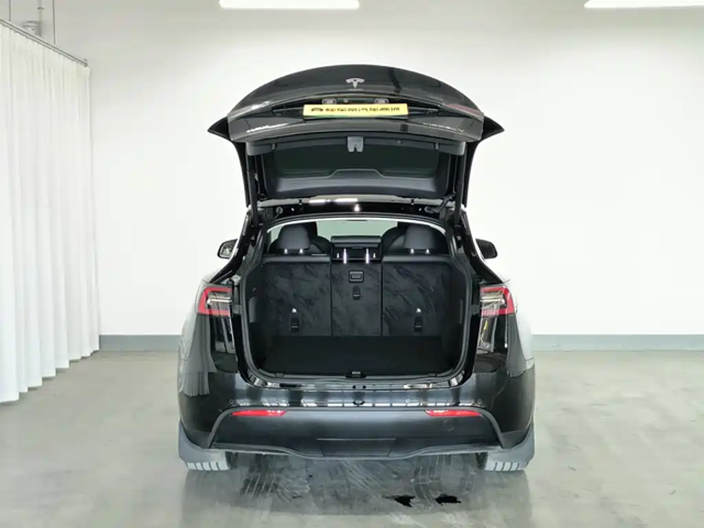Tesla Model Y — миниатюра 8