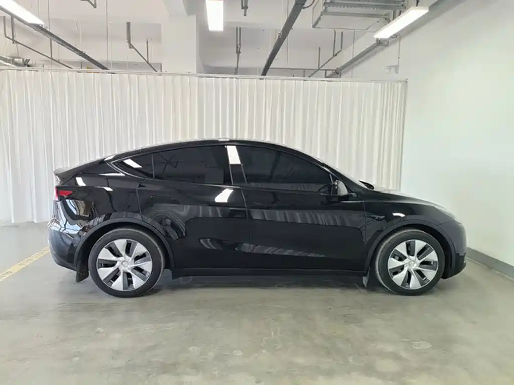 Tesla Model Y — миниатюра 4