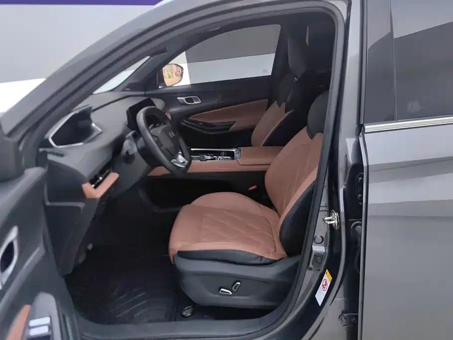 Qiyuan Чанг Ан Кай Q05 классика. — миниатюра 9