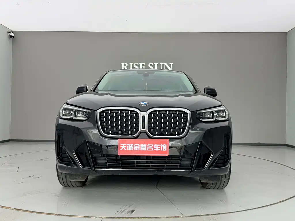 BMW X4 — миниатюра 2