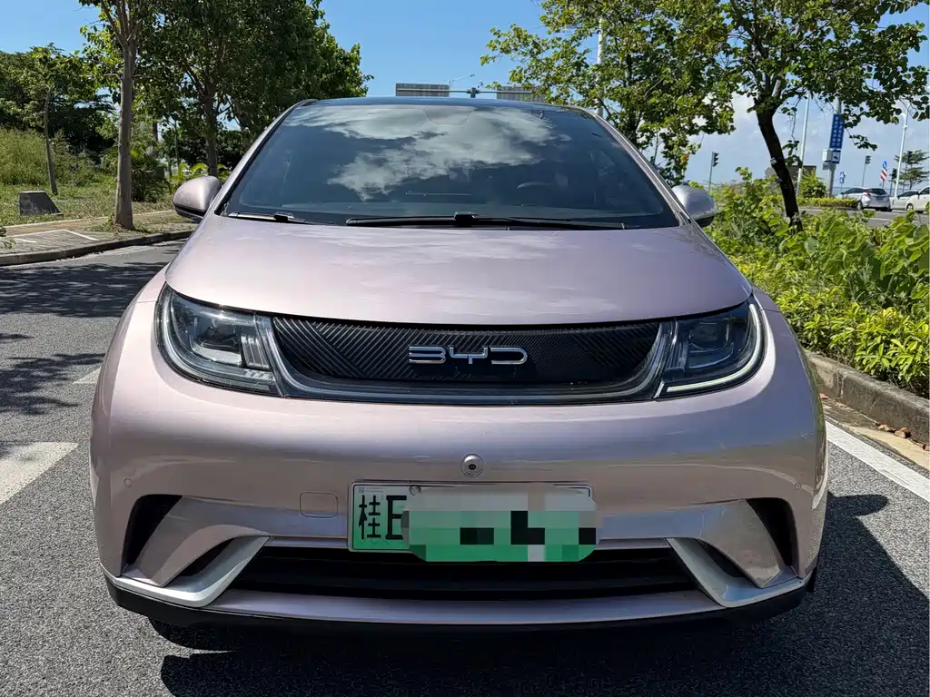 BYD Dolphin — миниатюра 2