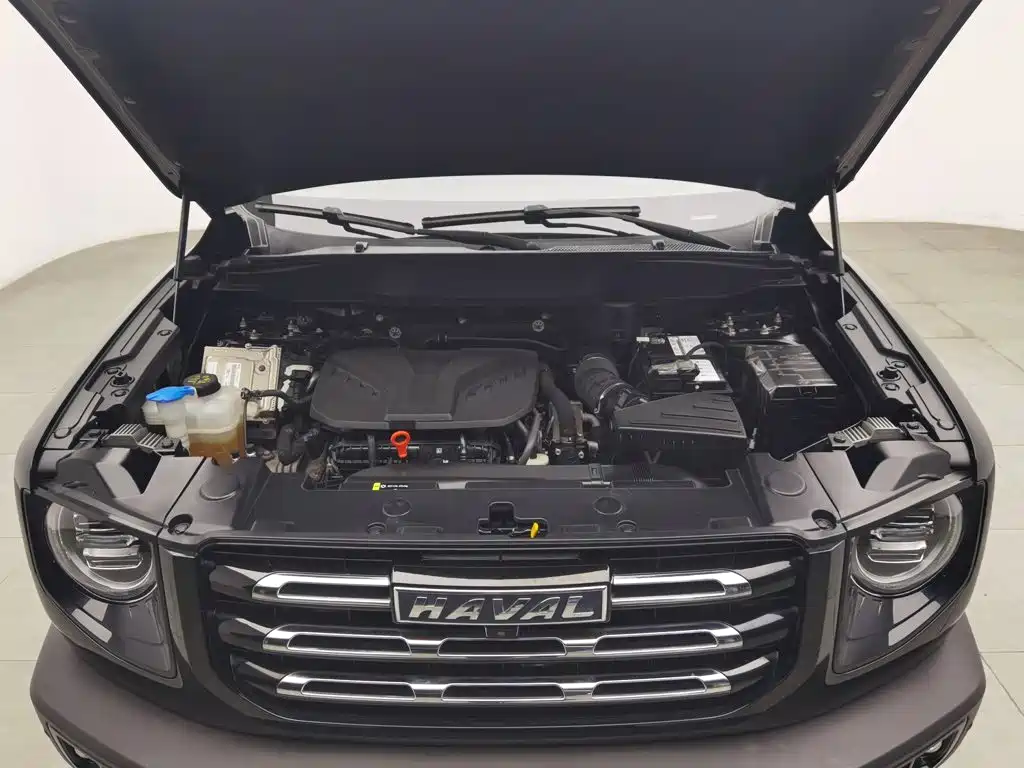 Haval Big Dog — миниатюра 6