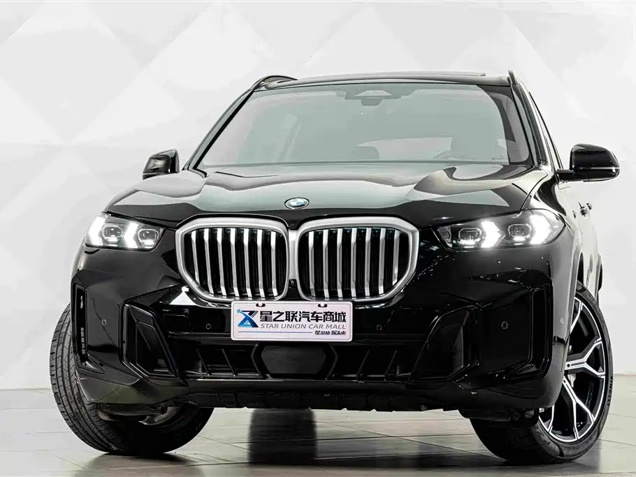 BMW X5 — миниатюра 3