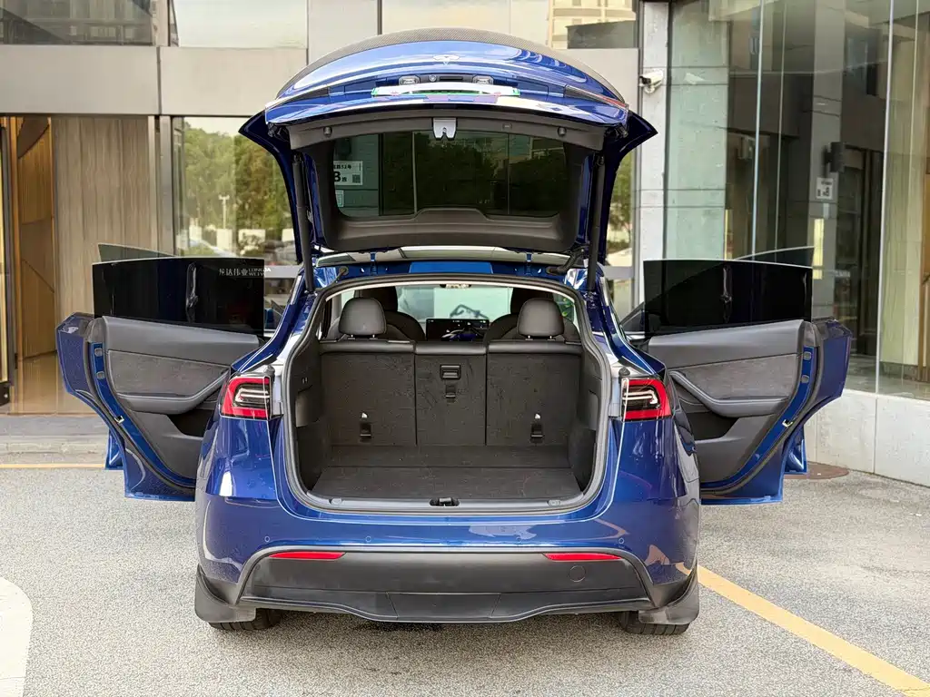 Tesla Model Y — миниатюра 11