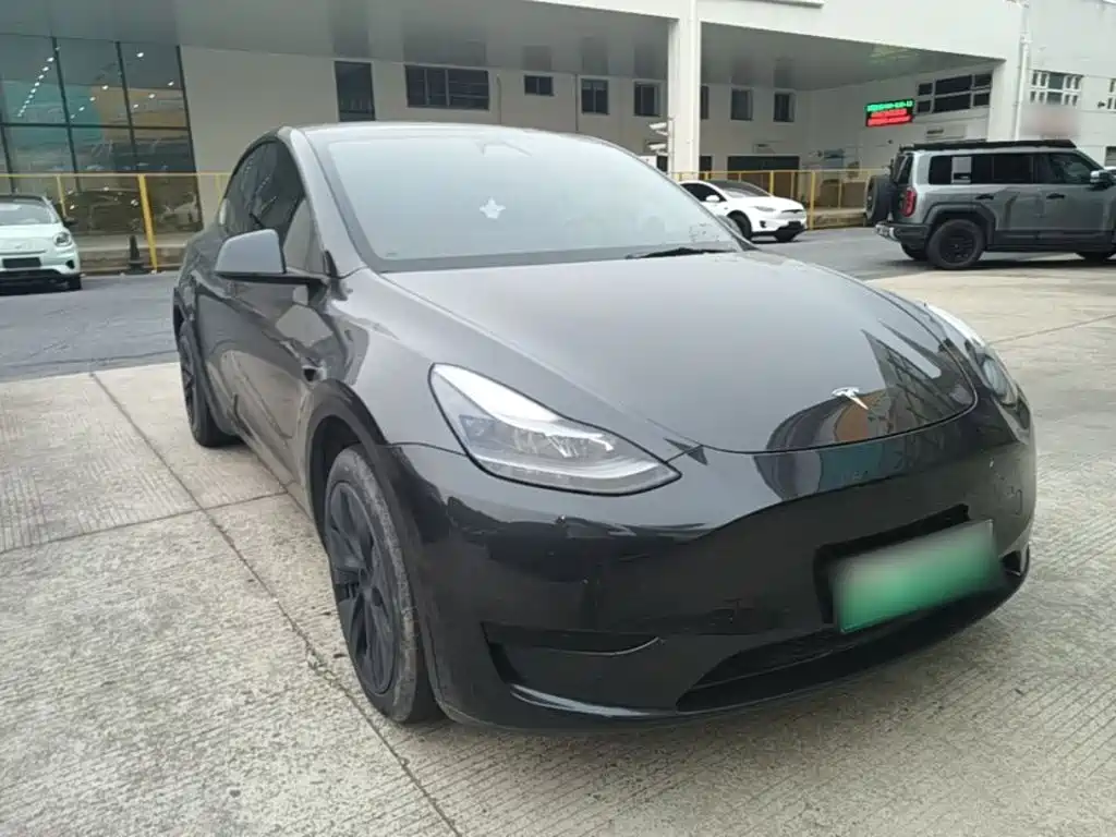 Tesla Model Y — миниатюра 4