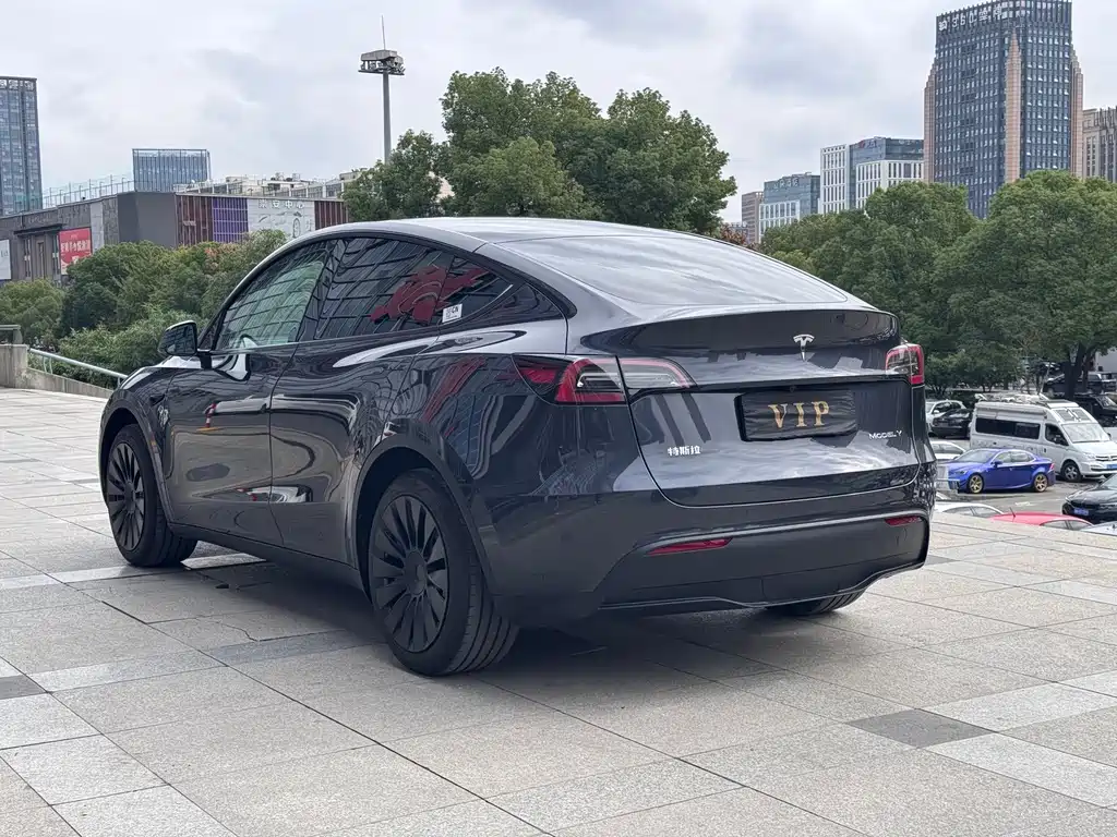 Tesla Model Y — миниатюра 7