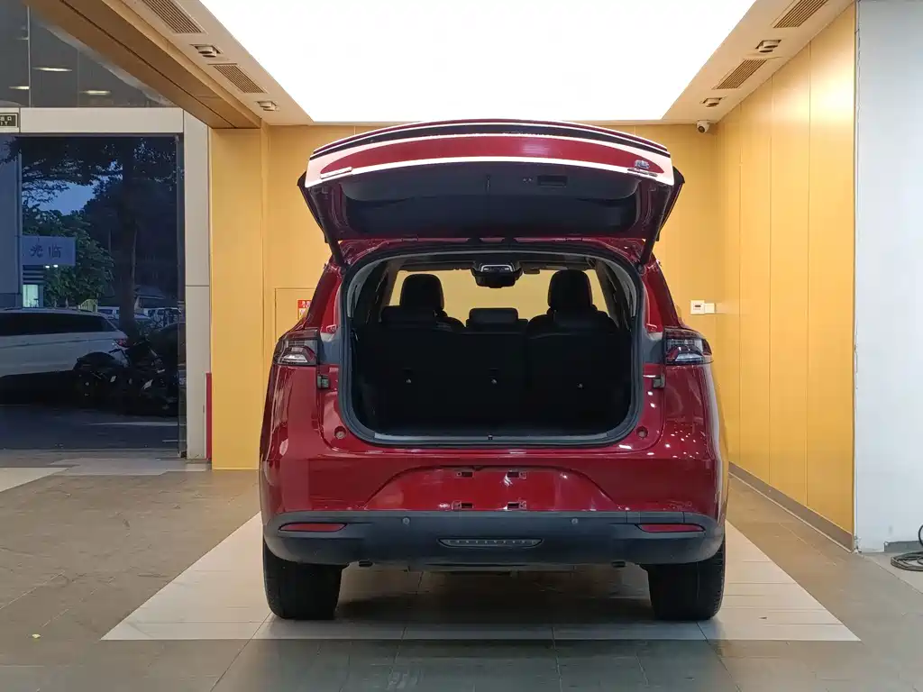 BYD Tang New Energy — миниатюра 23