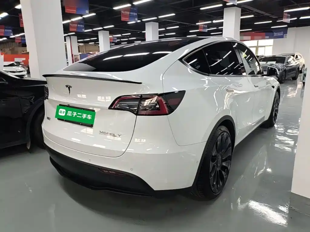 Tesla Model Y — миниатюра 7