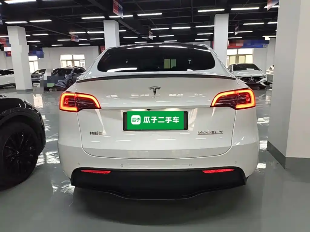 Tesla Model Y — миниатюра 6