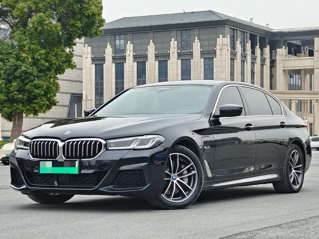 BMW 5 Series New Energy 2022
