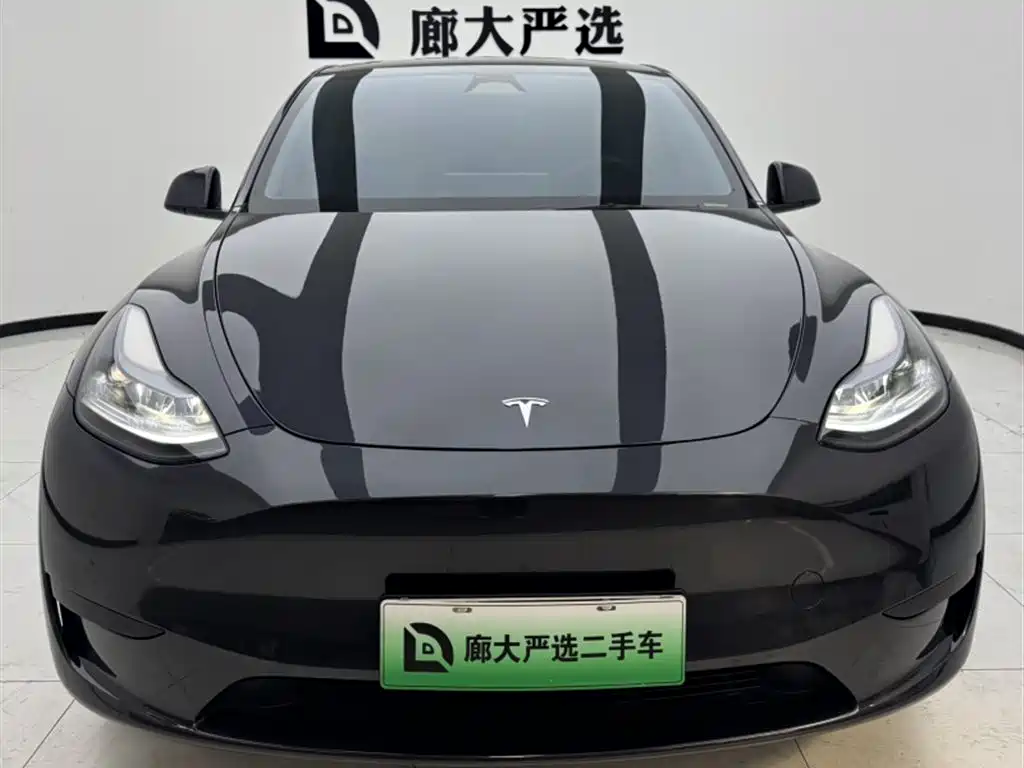 Tesla Model Y — миниатюра 2