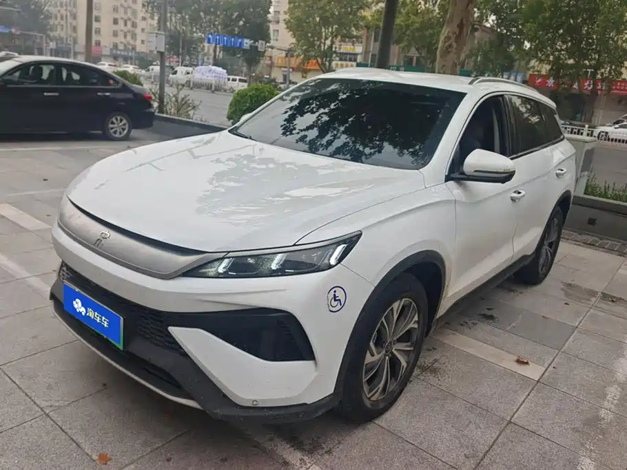 BYD Pro New Energy