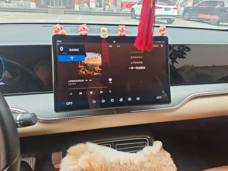BYD Pro New Energy — миниатюра 12