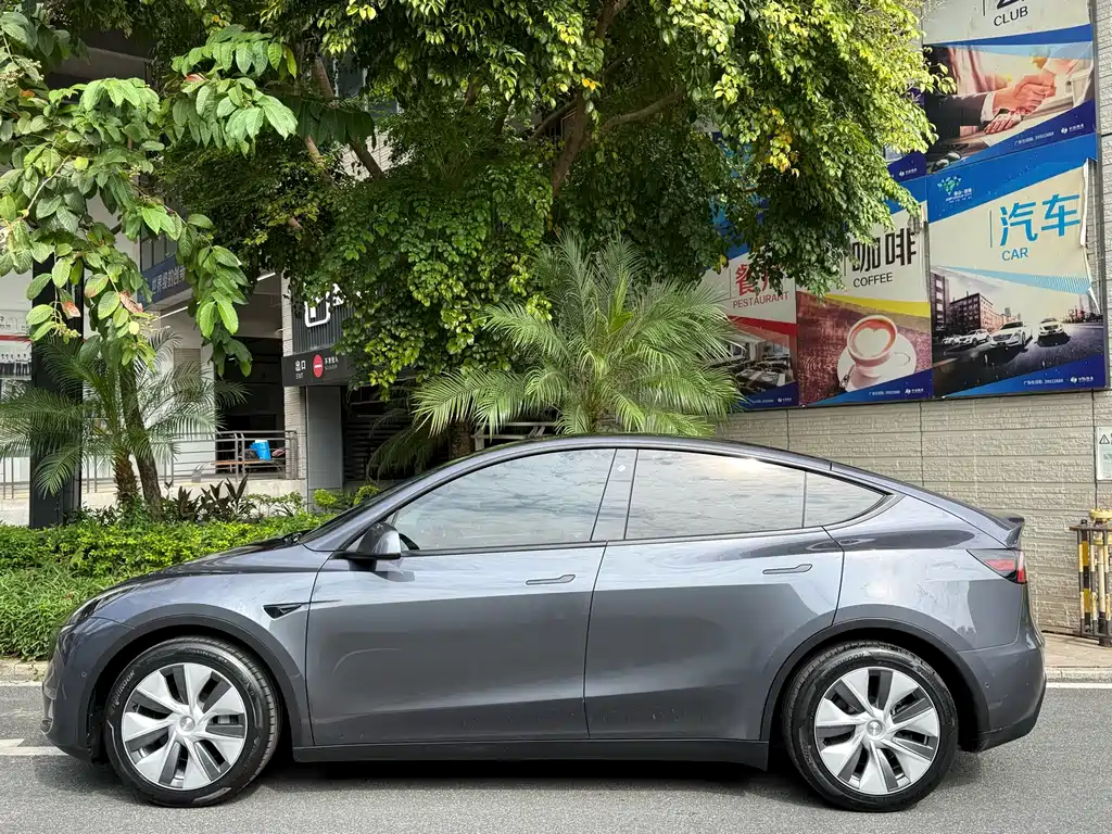 Tesla Model Y — миниатюра 7