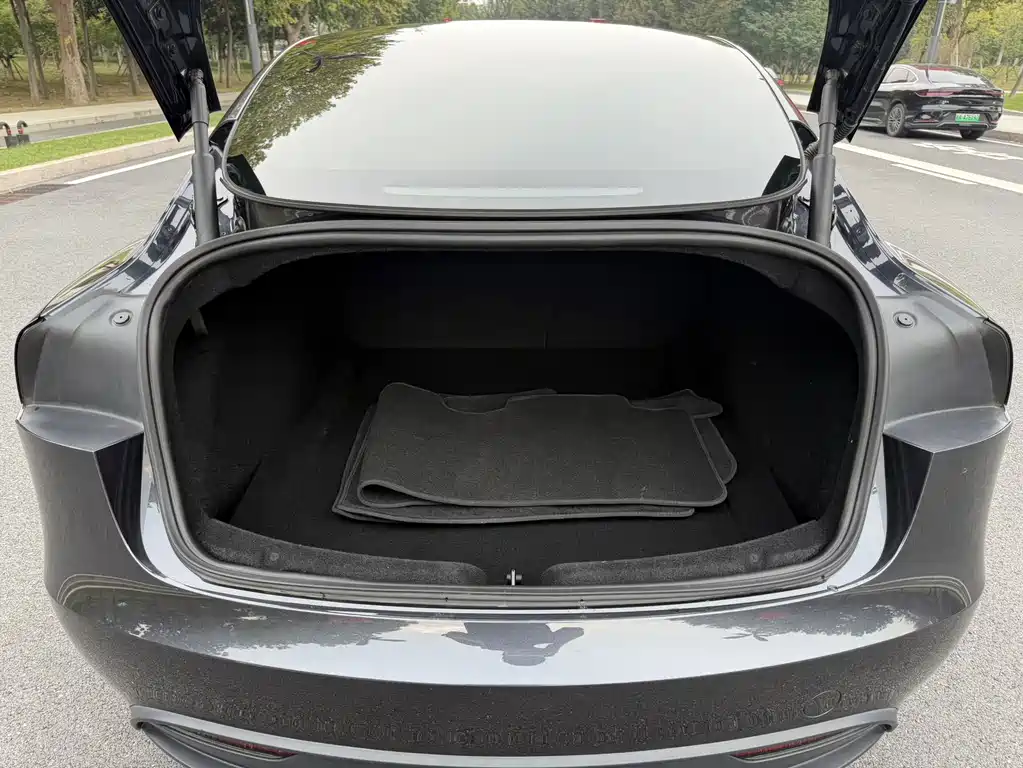 Tesla Model 3 — миниатюра 10