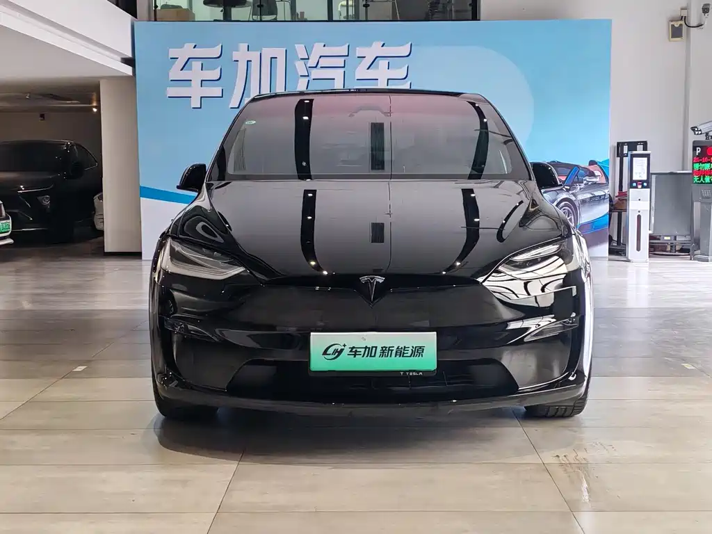 Tesla Model X — миниатюра 2