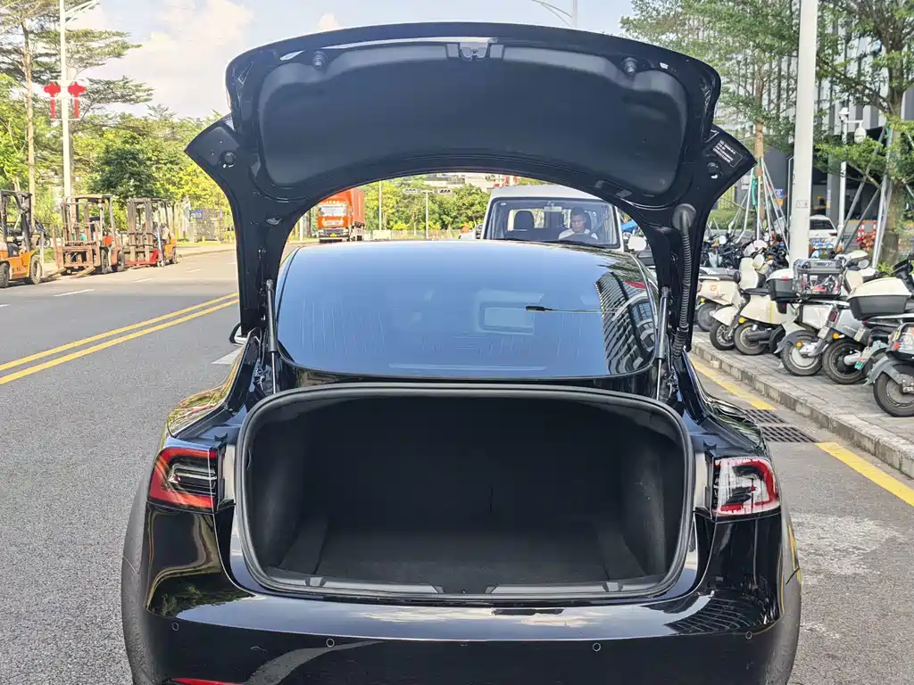 Tesla Model 3 — миниатюра 11