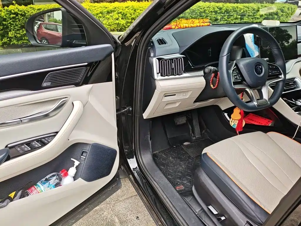 BYD PLUS New Energy — миниатюра 12