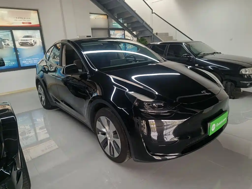 Tesla Model Y — миниатюра 4