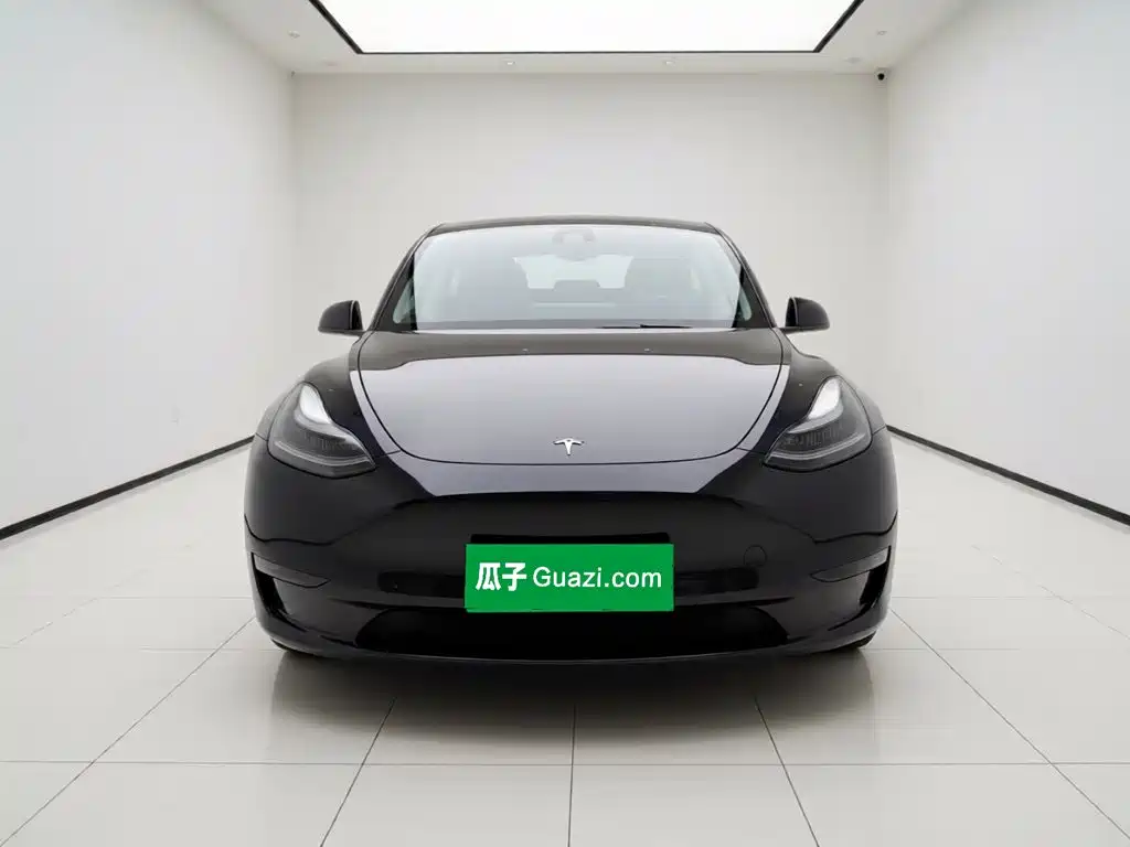 Tesla Model Y — миниатюра 24