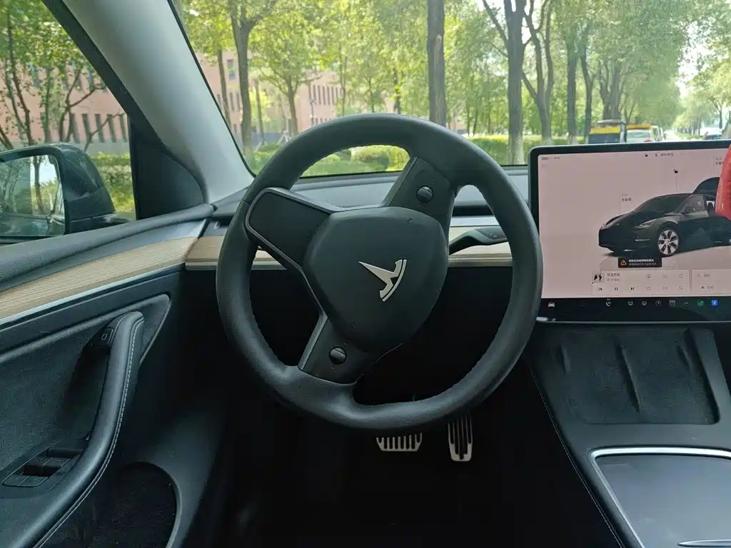 Tesla Model Y — миниатюра 3
