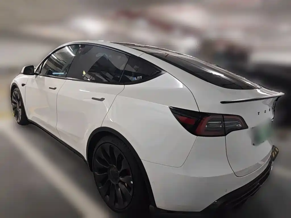 Tesla Model Y — миниатюра 4