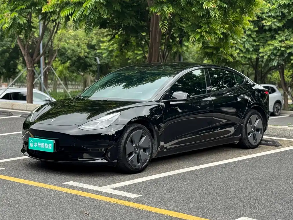 Tesla Model 3 2021