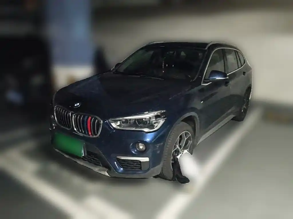 BMW X1 — миниатюра 2