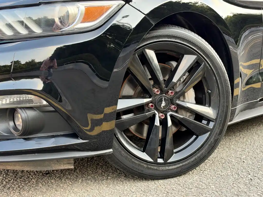 Ford Mustang — миниатюра 7