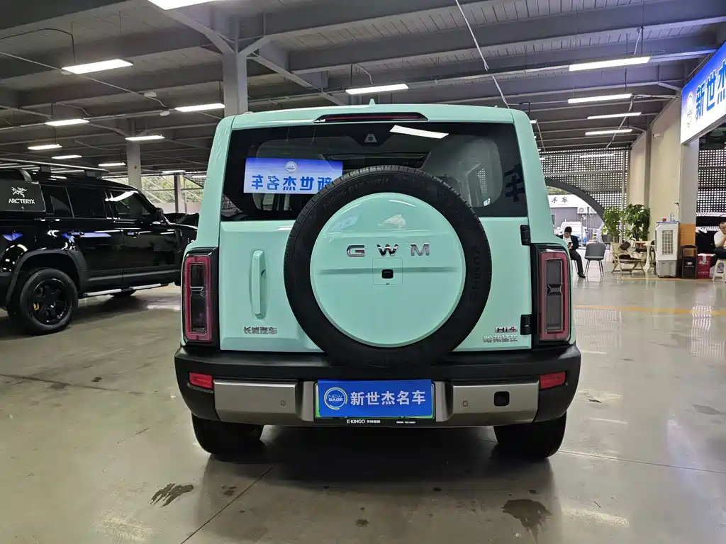 Haval Menglong New Energy — миниатюра 16