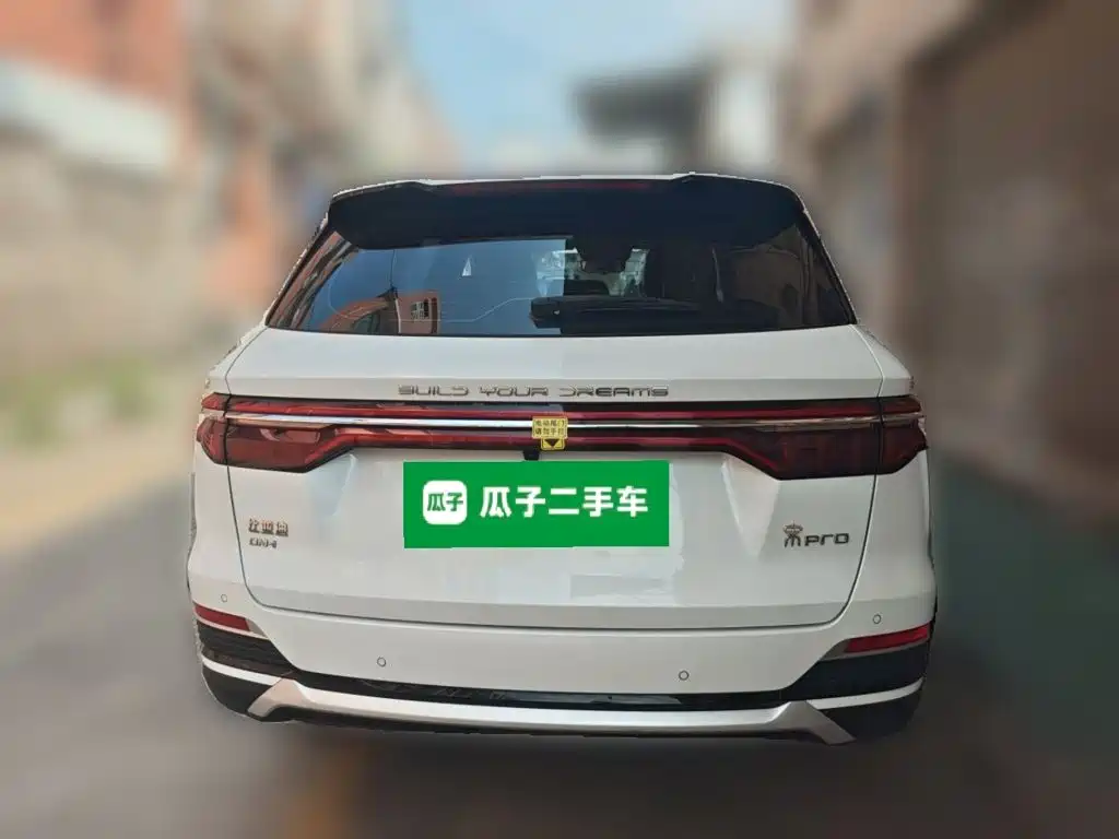 BYD Pro New Energy — миниатюра 3