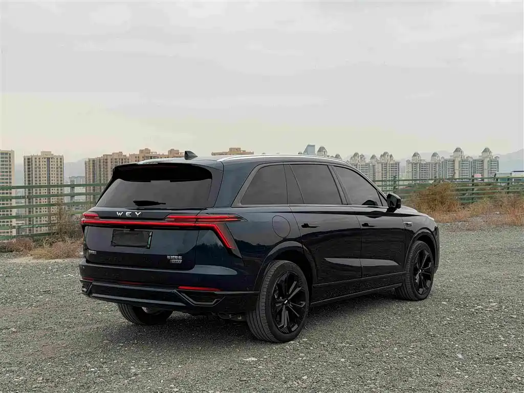 Wey Wey Lanshan — миниатюра 4